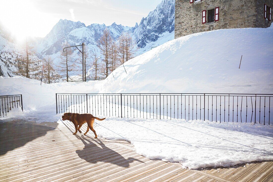 France, Haute Savoie, Mont Blanc valley, Chamonix Mont Blanc, hotel refuge of Montenvers