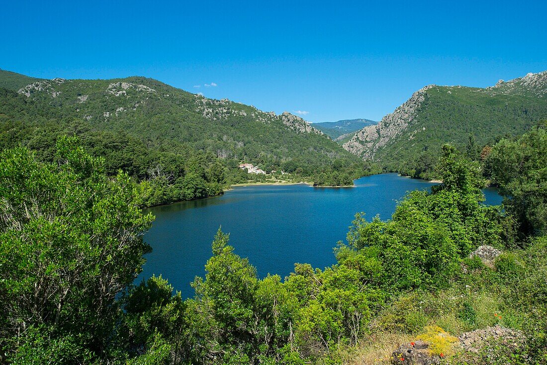 France, Haute Corse, Ghisoni the dam of Sampolo dam on the torrent of Fium Orbu upstream of the parade of Inzecca