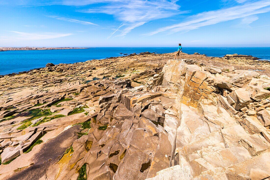 France, Cotes d'Armor, Pink Granite Coast, Pleumeur Bodou, Grande Island