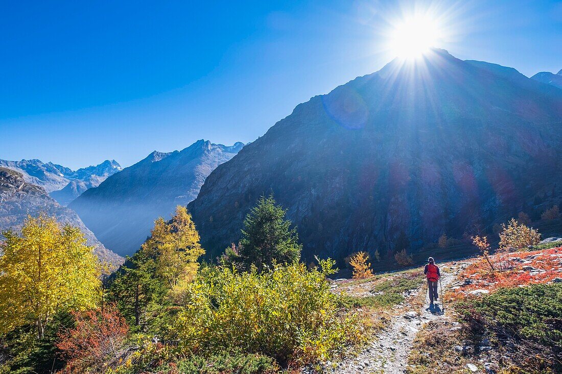 France, Isere, Ecrins National Park, Veneon valley, hike from Saint-Christophe-en-Oisans to the refuge of L'Alpe du Pin