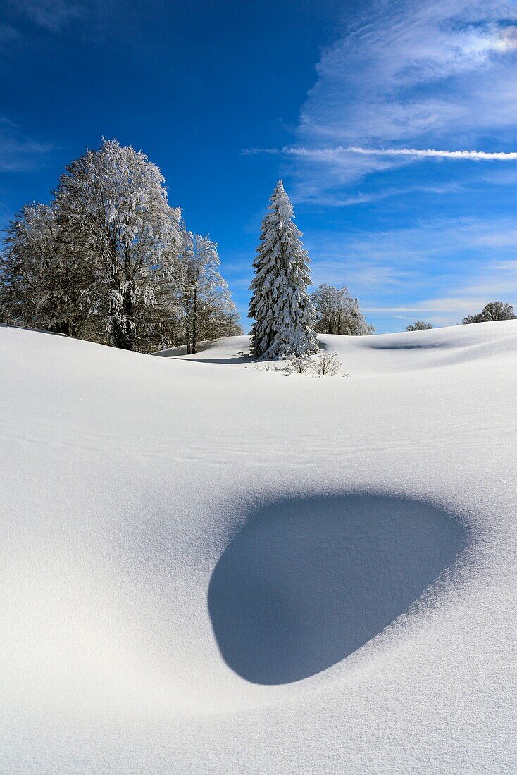 Frankreich, Jura, GTJ, große Juradurchquerung auf Schneeschuhen, durch majestätische, verschneite Landschaften nach Molunes