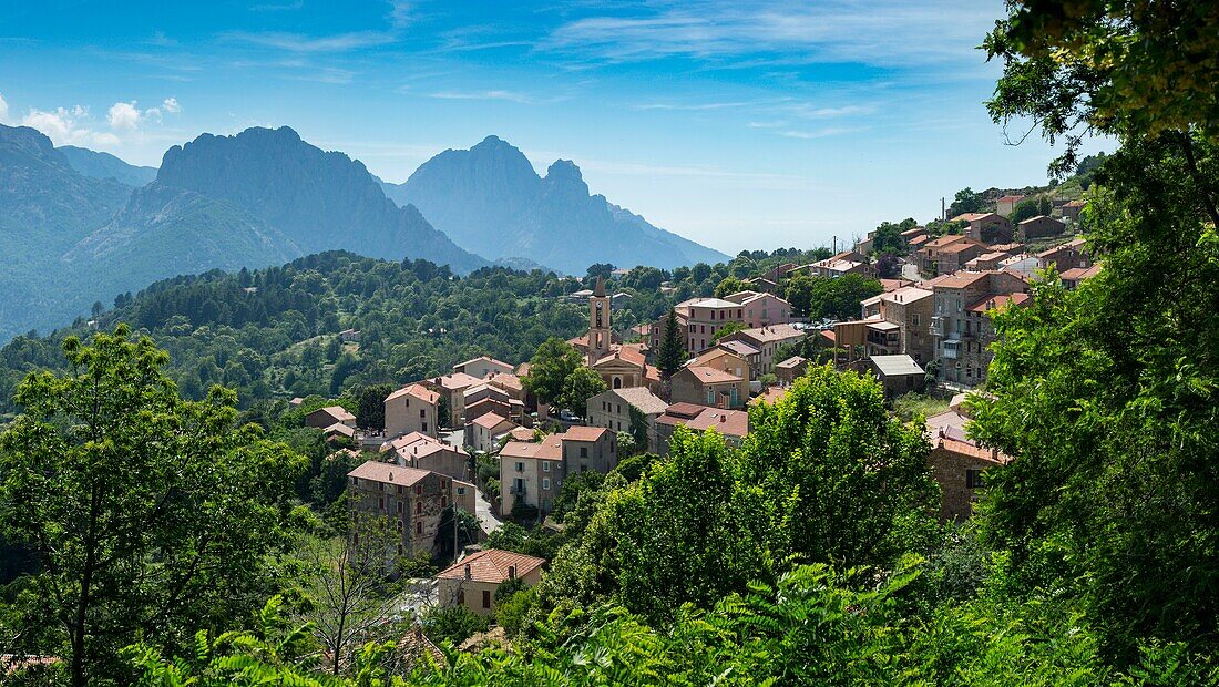 France, Corse du Sud, D 84, regional natural park, panoramic view off the village of Evisa and the Capu d'Orto