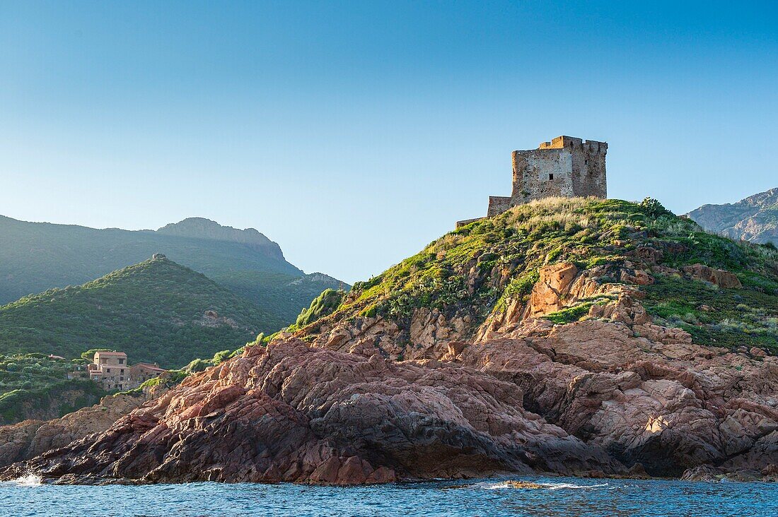 Frankreich, Corse du Sud, Porto, Golf von Porto, von der UNESCO zum Weltkulturerbe erklärt, Girolata, ein genuesischer Turm wacht über das Dorf, das per Boot oder zu Fuß erreichbar ist