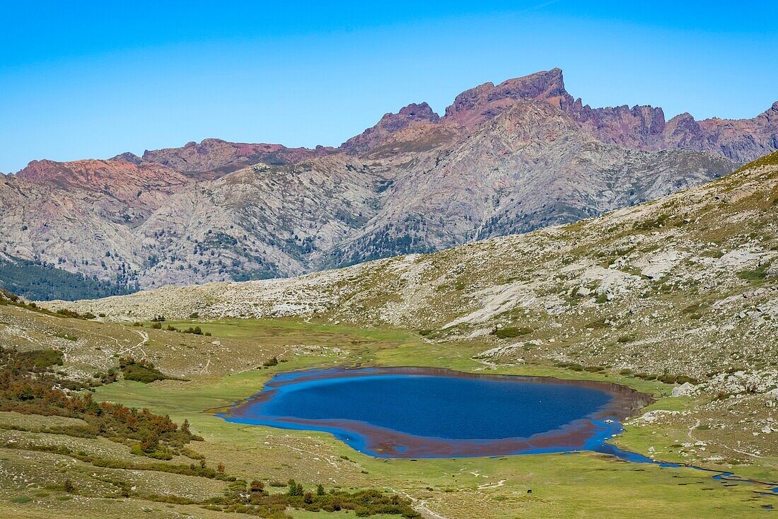 France, Haute Corse, Corte, Restonica Valley, flying over the lakes of the Regional Natural Park here Lake Nino on the GR20 surrounded by pozzine and the hole of Capu Tafunatu, the collar of the Moors and Paglia Orba (aerial view)