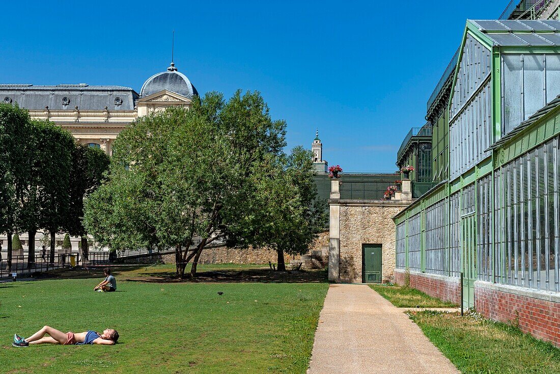 Frankreich, Paris, Jardin des Plantes, Grande Serre, junge Frau langgestreckt auf einer Wiese