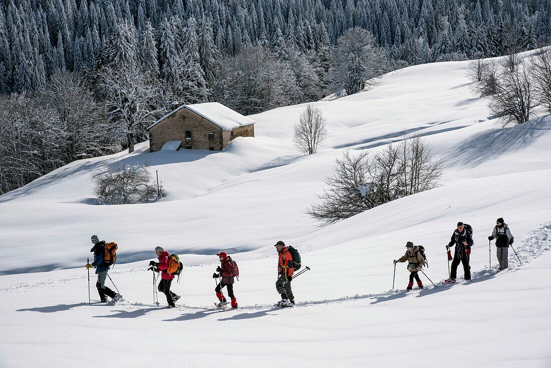 Frankreich, Jura, GTJ, große Überquerung des Jura auf Schneeschuhen, auf der Seite des Terminals in Lion