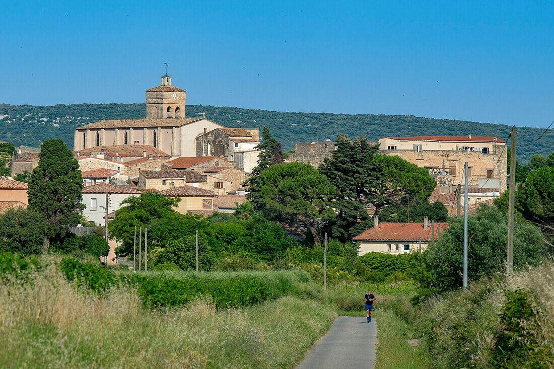 France, Herault, Poussan, runner on a country road with a village in the background