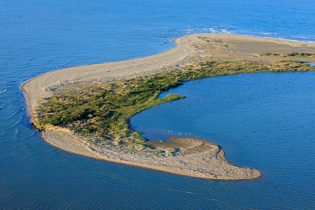 Frankreich, Bouches du Rhone, Regionaler Naturpark Camargue, Arles, Ende des Strandes von Piémanson, Mündung der Rhone (Luftaufnahme)