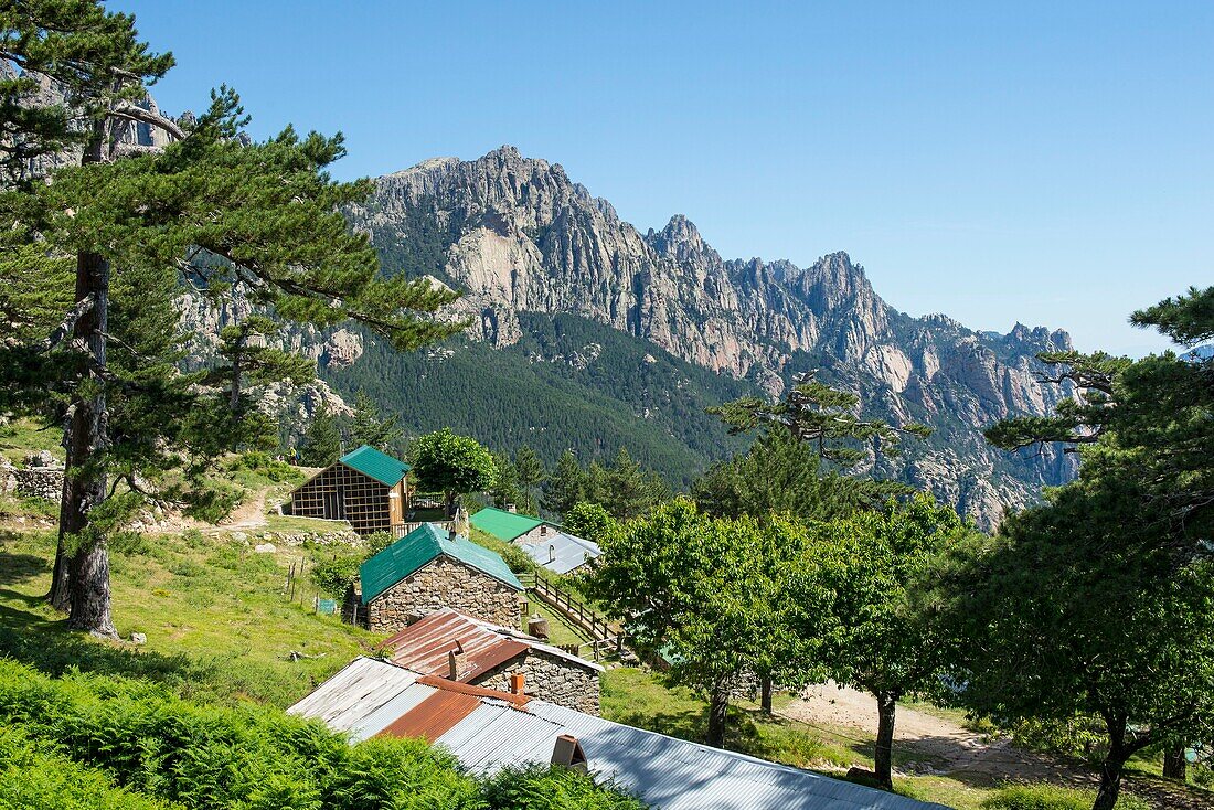 France, Corse du Sud, Alta Rocca, Bavella Pass, the old sheepfolds in the village of Bavella