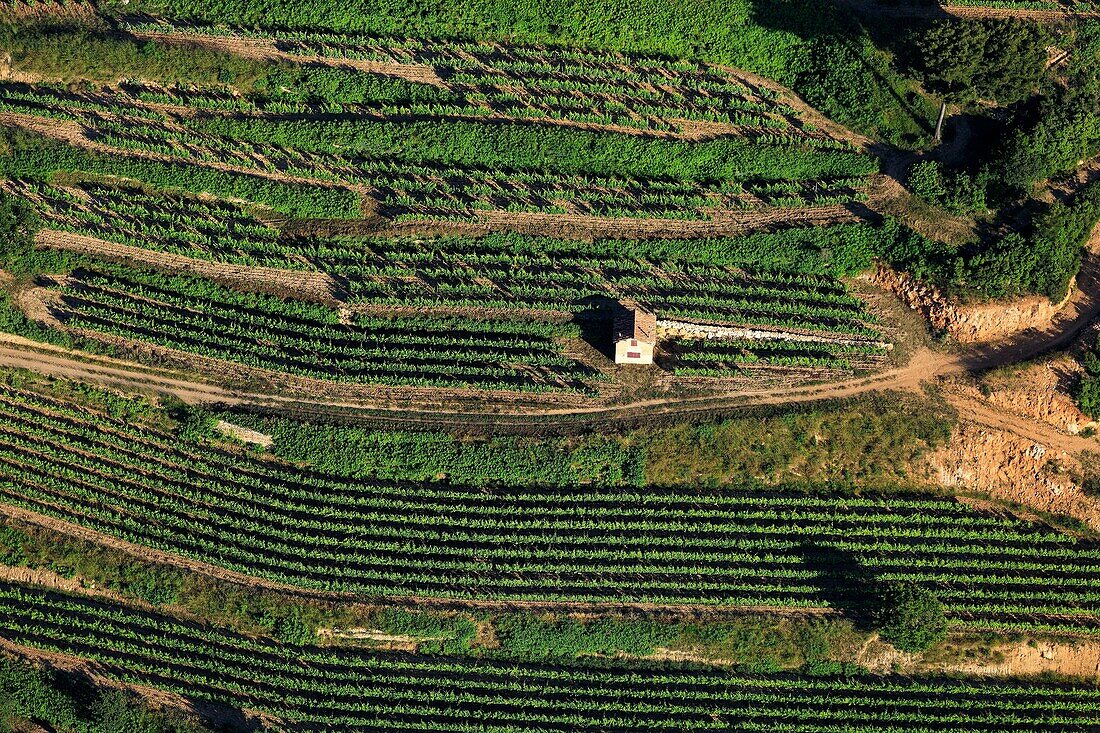 Frankreich, Bouches du Rhone, Cassis, AOC Cassis (Luftaufnahme)