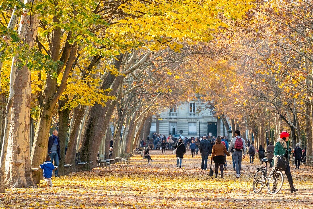 France, Paris, Luxembourg Garden in Autumn