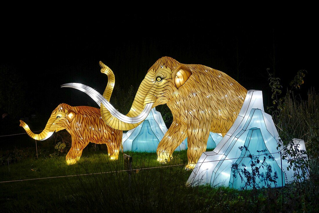 France, Paris, Jardin des Plantes, First Festival of Lights, Species in the process of enlightenment