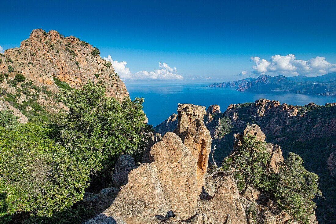 France, Corse du Sud, Porto, Gulf of Porto listed as World Heritage by UNESCO, curious rocks plutonic calanches of Piana
