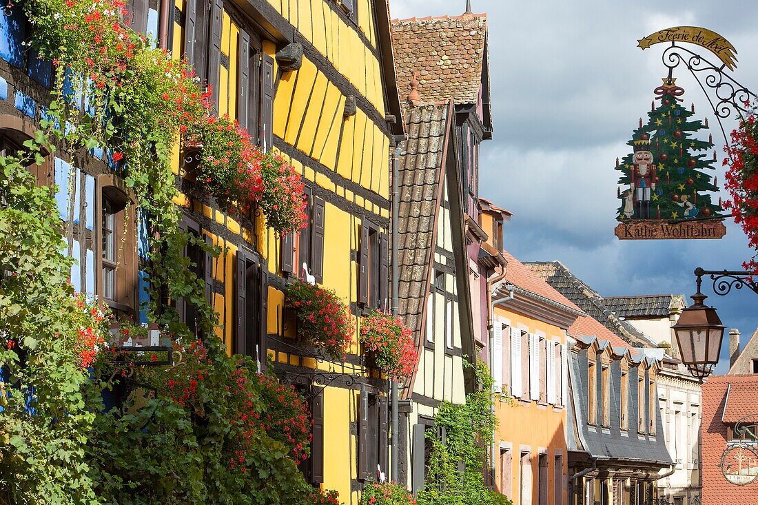 France, Haut Rhin, Route des Vins d'Alsace, Riquewihr labelled Les Plus Beaux Villages de France (One of the Most Beautiful Villages of France), row of half timbered houses facades