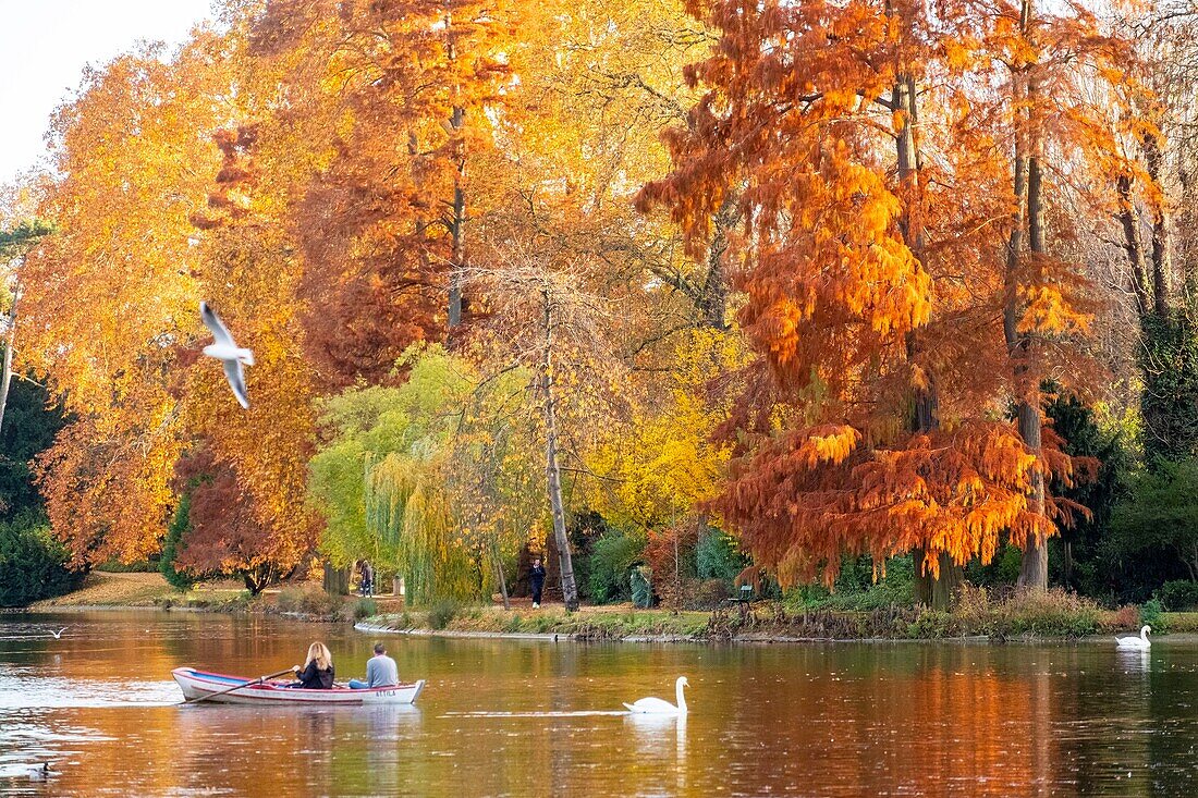 Frankreich, Paris, der Bois de Vincennes im Herbst, der Daumesnil-See