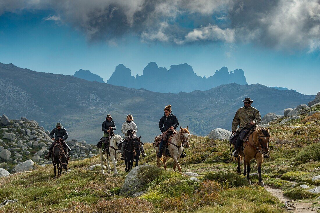 France, Corse du Sud, Alta Rocca, plateau of Cuscione, horse riding on the plateau around the Castellu d'Ornucciu with Justine Tauvel professor of the equestrian center, passage to the Canoso pass and the Bavella needles