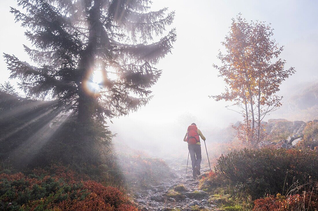 France, Isere, Ecrins National Park, Veneon valley, hike from Saint-Christophe-en-Oisans to the refuge of L'Alpe du Pin