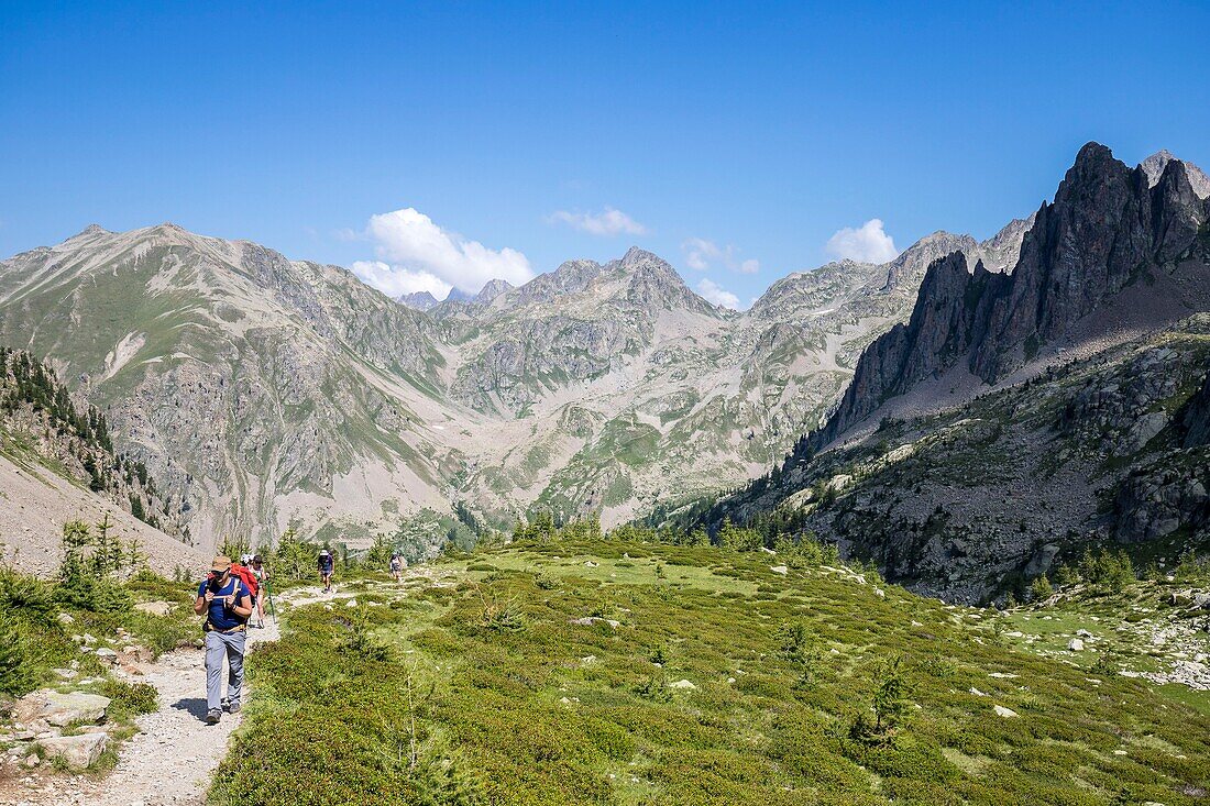 France, Alpes Maritimes, Mercantour National Park, Haute Vésubie, hiking in the Madone of Fenestre Valley, hikers crossing the Baisse des Cinq Lacs (2335m)