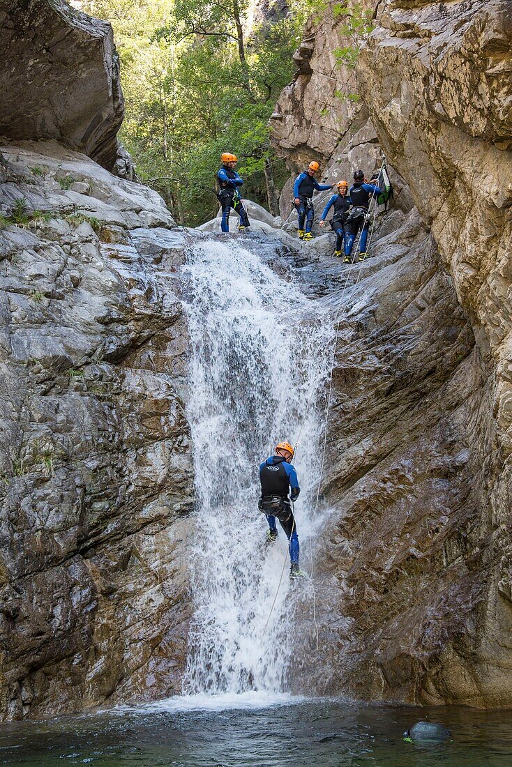 France, Corse du Sud, Bocognano, the canyon of the Richiusa, descent of a waterfall rappelling rope