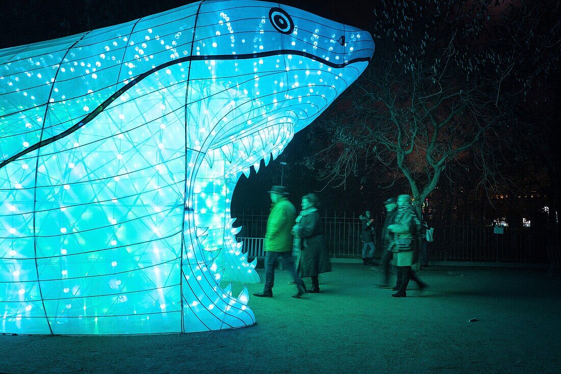 France, Paris, Jardin des Plantes, First Festival of Lights, Species in the process of enlightenment