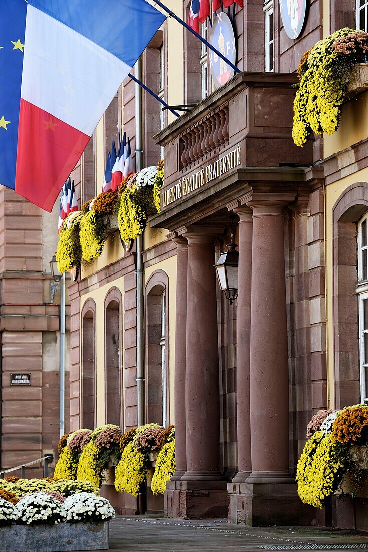 France, Territoire de Belfort, Belfort, Place d Armes, town hall dated 1724 flowering, chrysanthemums in november