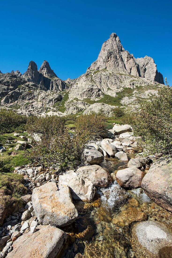 Frankreich, Haute Corse, Corte, Restonica-Tal, der Wildbach Restonica entspringt am Capitello-See und stürzt weiter in den Melo-See und die Spitze des Lombarduccio