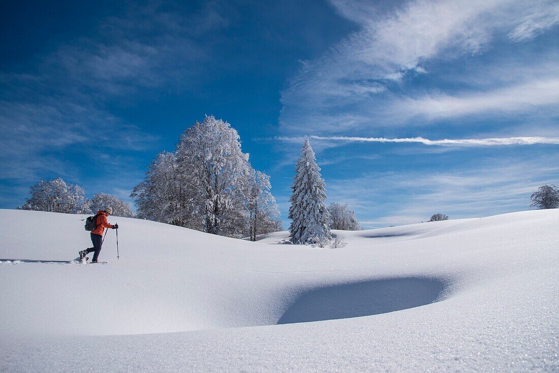 Frankreich, Jura, GTJ große Überquerung des Jura auf Schneeschuhen, durch majestätische, verschneite Landschaften Richtung Molunes