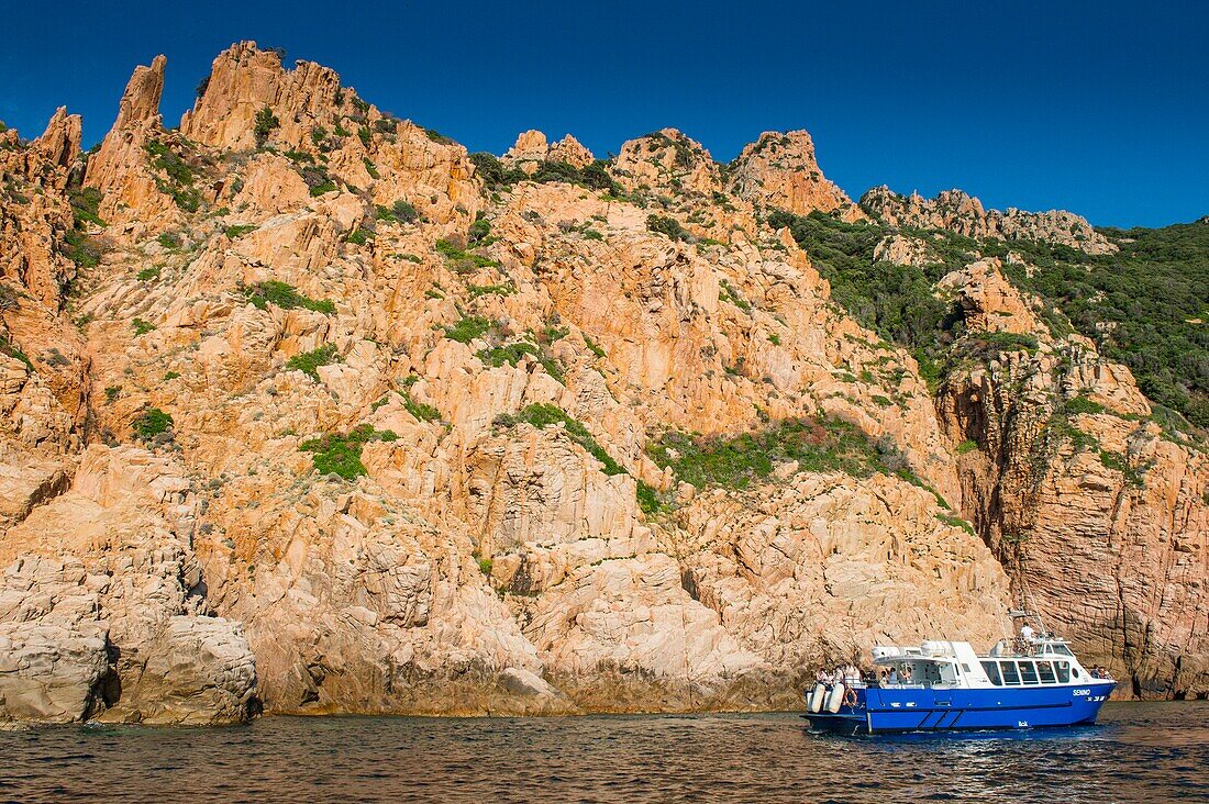 Frankreich, Corse du Sud, Porto, Golf von Porto, von der UNESCO zum Weltkulturerbe erklärt, Bootstour an der zerklüfteten Küste von Capo Rosso mit ockerfarbenen Klippen