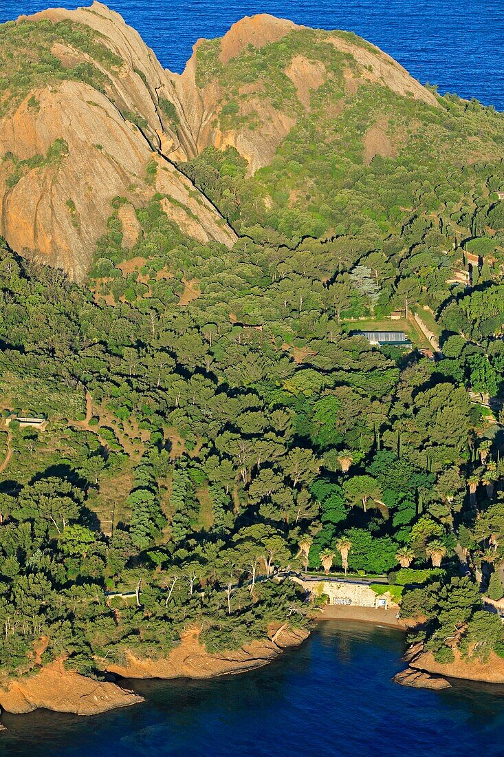 France, Bouches du Rhone, Calanques National Park, Canaille Massif, Bec de l'Aigle, La Ciotat, Mugel Park, Anse du Petit Mugel (aerial view)