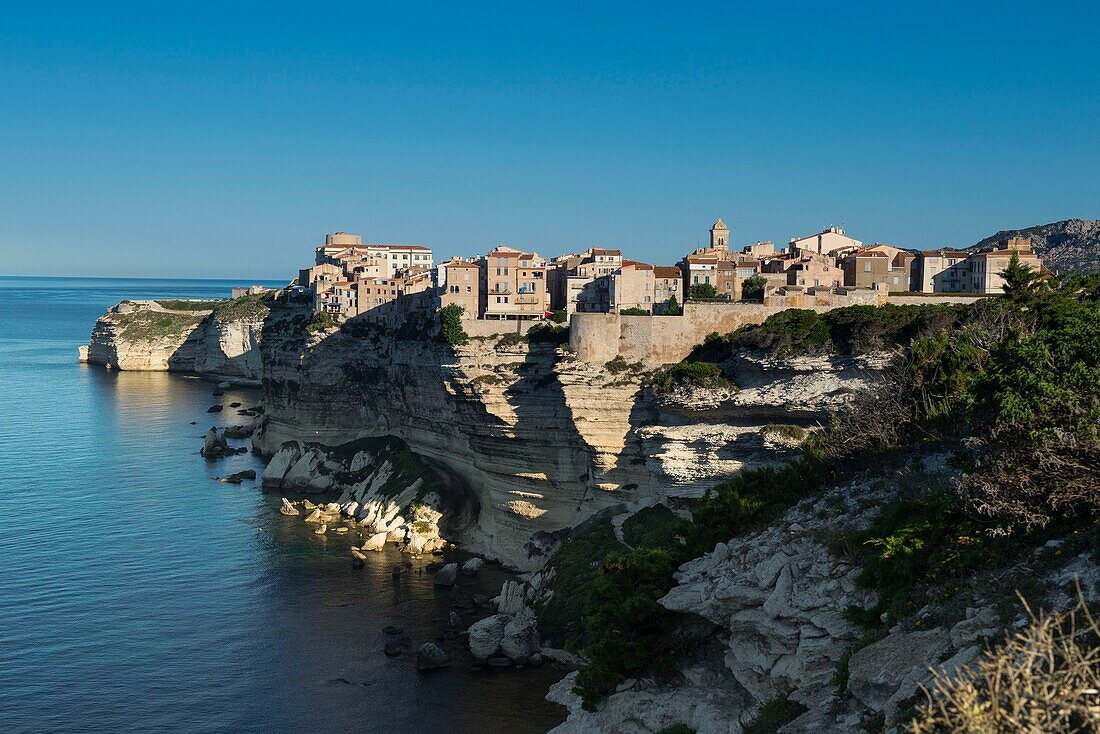 Frankreich, Corse du Sud, Bonifacio, die Zitadelle und die Kalksteinklippen vom Fußweg der Klippen aus gesehen
