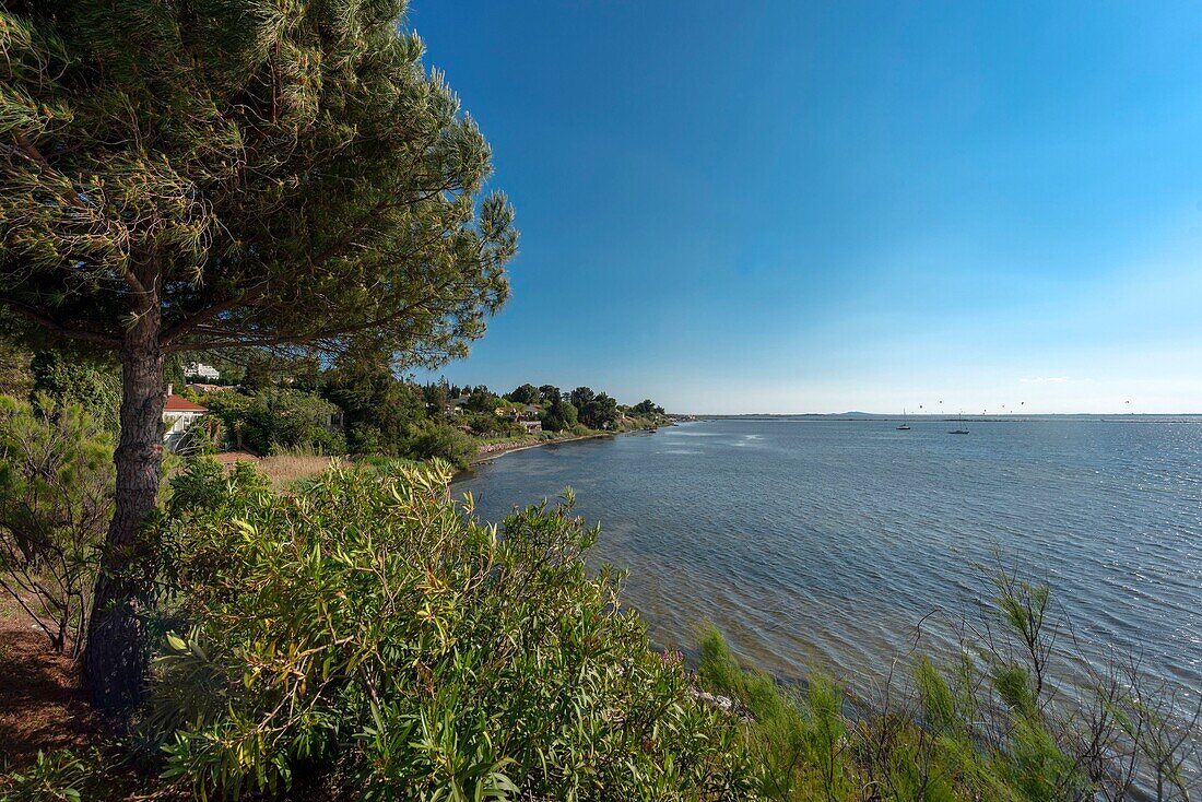 France, Herault, Sete, Lagoon of Thau