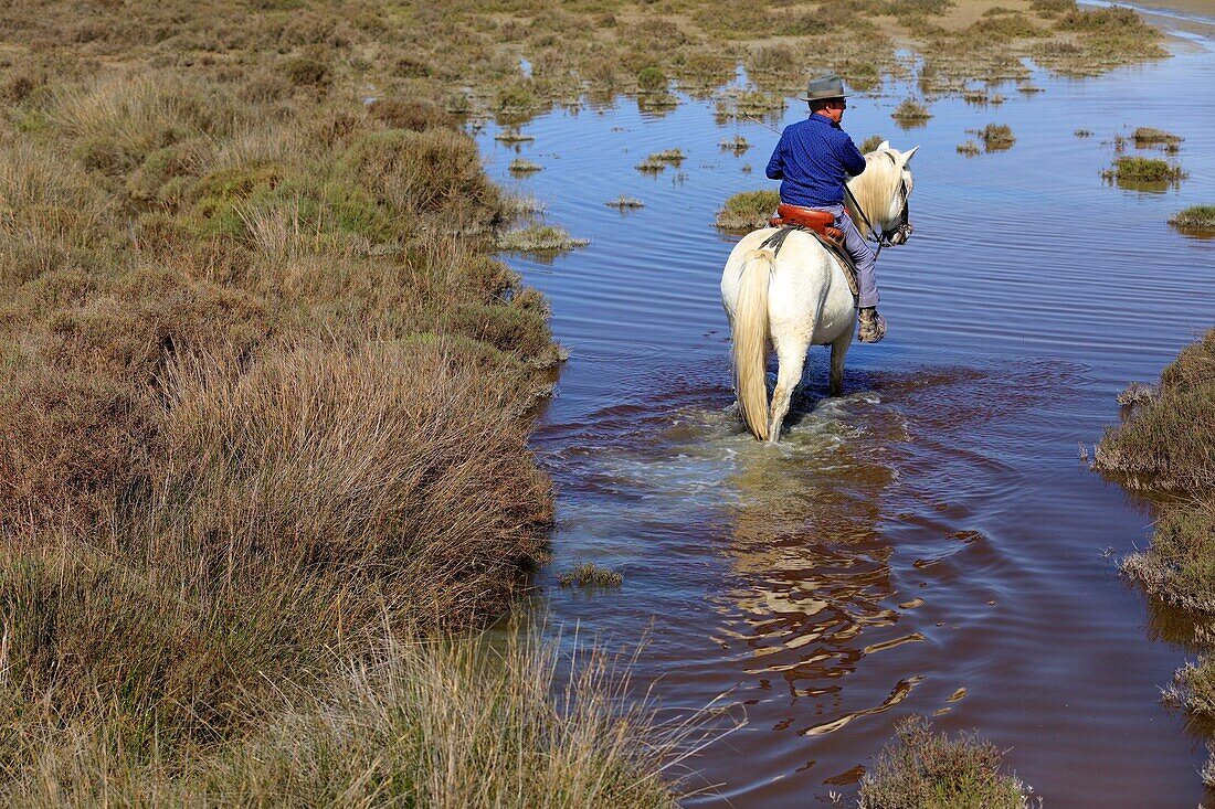 Frankreich, Bouches du Rhone, Regionaler Naturpark Camargue, Saintes Maries de la Mer, Domaine du Grand Rafeau, Manade Raynaud