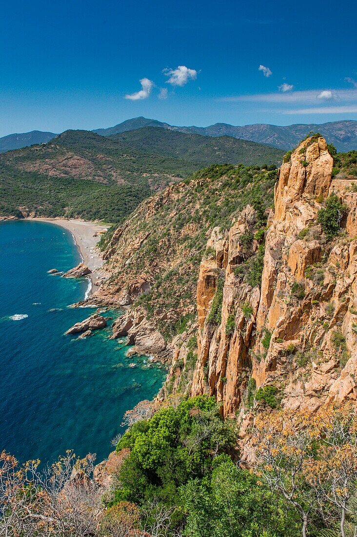 Frankreich, Corse du Sud, Porto, Golf von Porto, von der UNESCO zum Weltkulturerbe erklärt, die Straße D81 in Balkonbauweise führt durch die Calanches von Figa Baleri nördlich von Porto, die Aussicht ist atemberaubend 146 m über dem Meer und dem Strand und der Naturstätte von Bussaghia