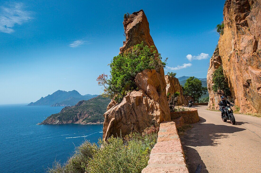 Frankreich, Corse du Sud, Porto, Golf von Porto von der UNESCO zum Weltkulturerbe erklärt, die Straße D81 im Balkon führt durch die Buchten von Figa Baleri nördlich von Porto, die Aussicht ist atemberaubend 146 m über dem Meer