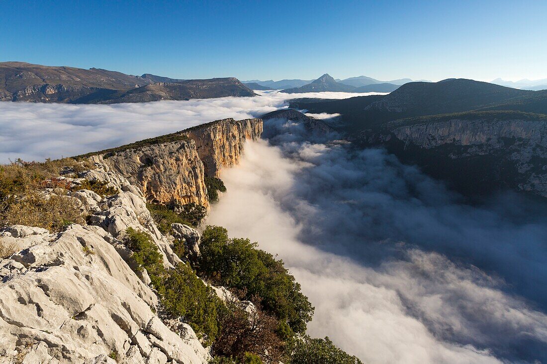 France, Alpes-de-Haute-Provence, Verdon Regional Nature Park, Grand Canyon du Verdon, cliffs seen from the Pas de la Bau belvedere