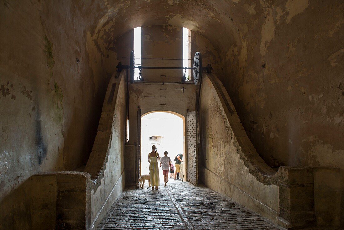 France, Corse du Sud, Bonifacio, the entrance of the citadel by the Genoa gate, opening towards the Saint Roch climb and drawbridge system