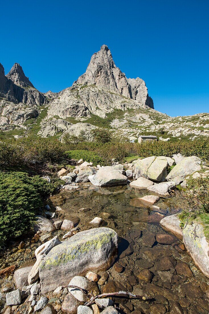 Frankreich, Haute Corse, Corte, Restonica-Tal, der Wildbach Restonica, der am Capitello-See entspringt, um weiter in den Melo-See zu stürzen, und die Spitze des Lombarduccio