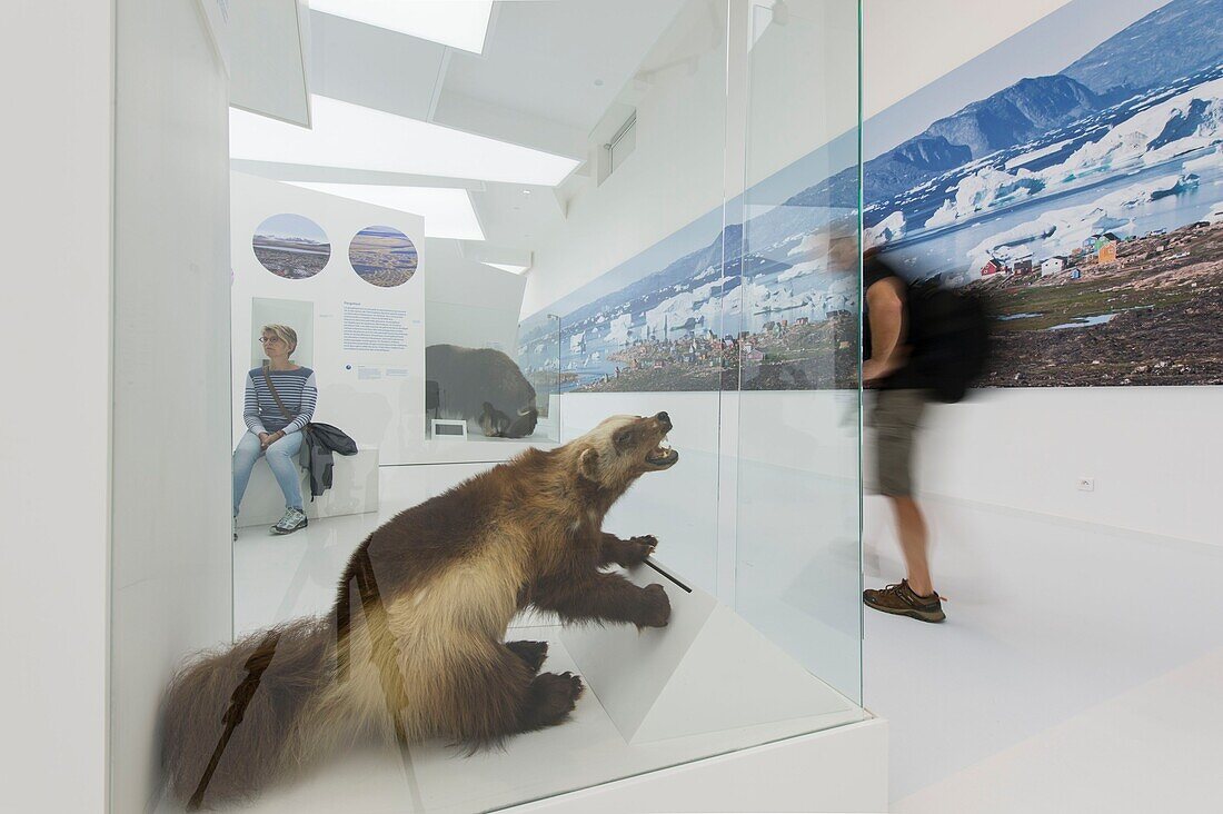 France, Jura, Premanon, the space Paul Emile Victor, Museum of the North, the exhibition halls on life in the North