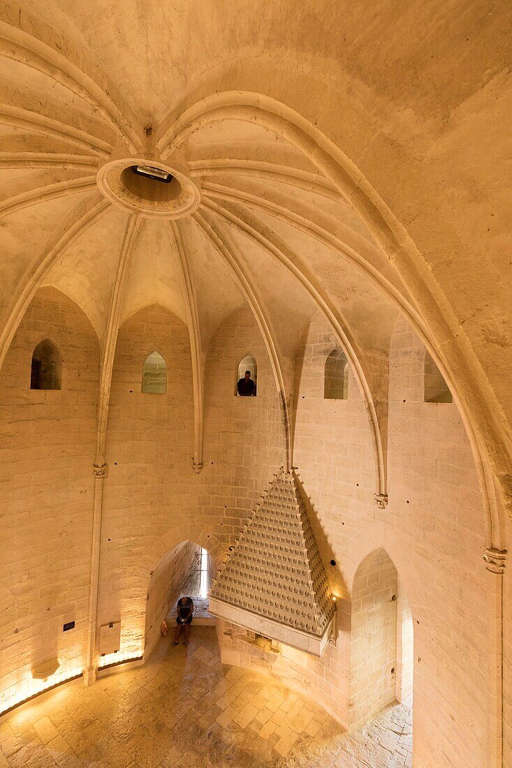 France, Gard, Regional Natural Park of Camargue, Aigues Mortes, the Constance Tower, the vault has twelve quarters