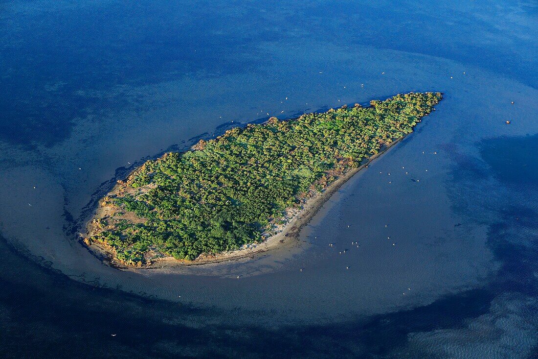 Frankreich, Bouches du Rhone, Regionaler Naturpark Camargue, Bucht von Carteau, Port Saint Louis du Rhone, Inselchen (Luftaufnahme)