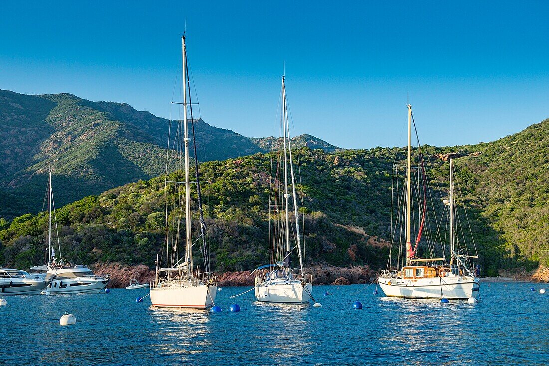 Frankreich, Corse du Sud, Porto, Golf von Porto, von der UNESCO zum Weltkulturerbe erklärt, Segelboote im Hafen von Girolata, Dorf zu Fuß oder per Boot erreichbar