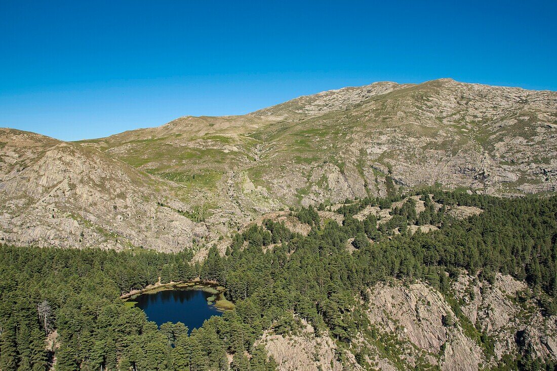 France, Haute Corse, Corte, Restonica Valley, flying over the lakes of the Regional Natural Park here Creno Lake and Cimatella (aerial view)