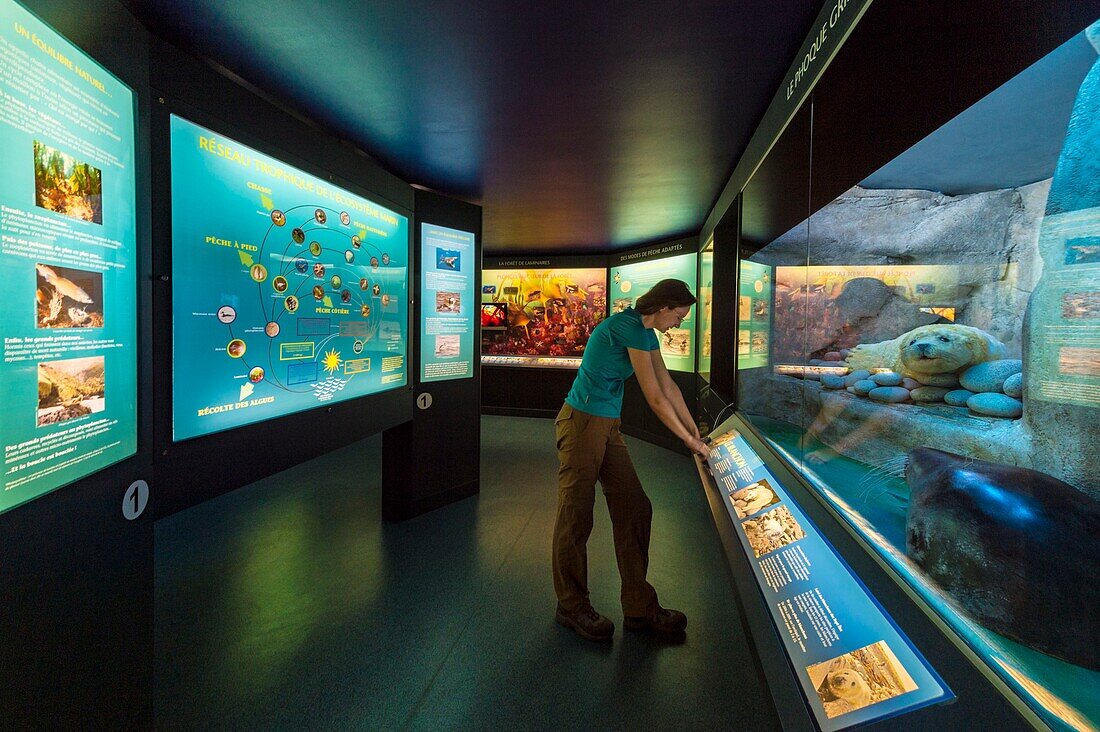 France, Cotes d'Armor, Pink Granite Coast, Pleumeur Bodou, Grande Island, Ornithological Station of the League of Protection of Birds (LPO), the ornithological museum