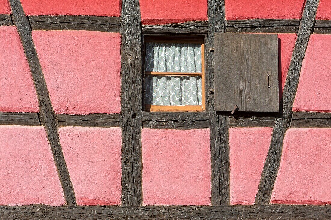 Frankreich, Haut Rhin, Route des Vins d'Alsace, Eguisheim mit der Aufschrift Les Plus Beaux Villages de France (Eines der schönsten Dörfer Frankreichs), Detail eines Fachwerkhauses