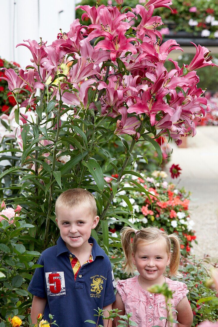 Children beside tree lilies