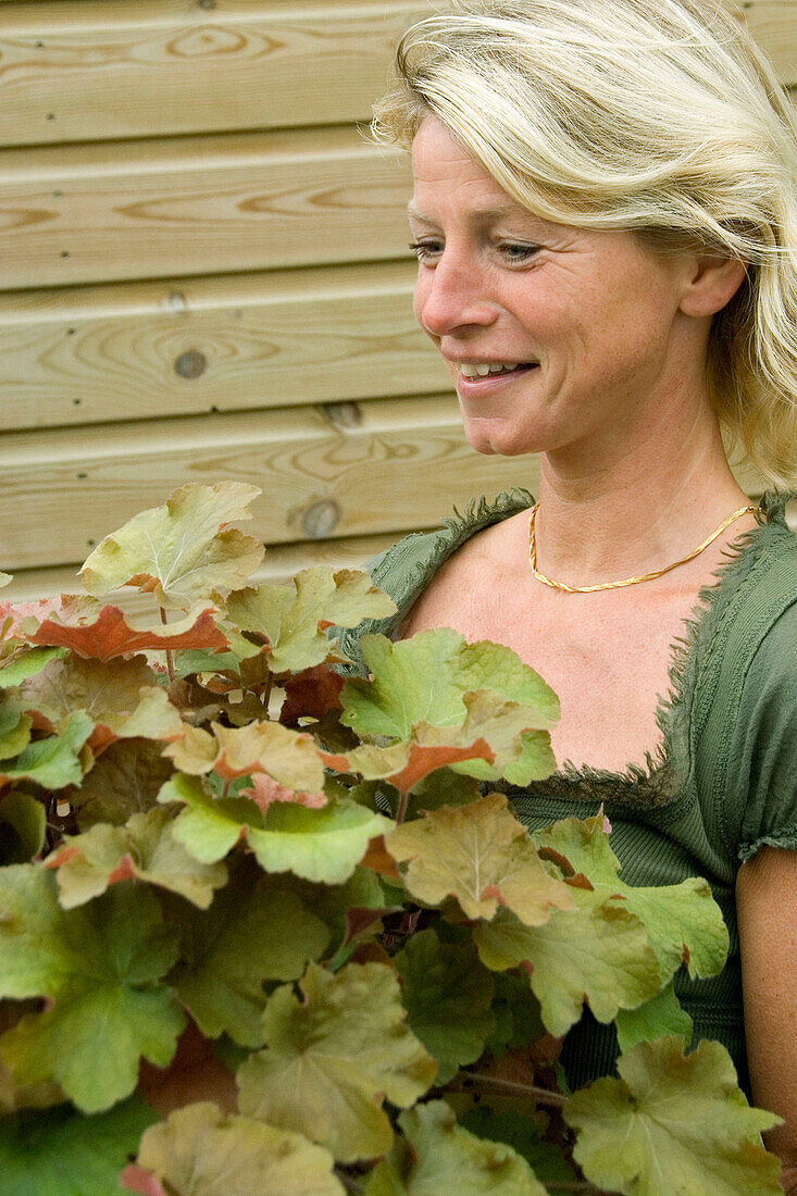 Frau hält Heuchera