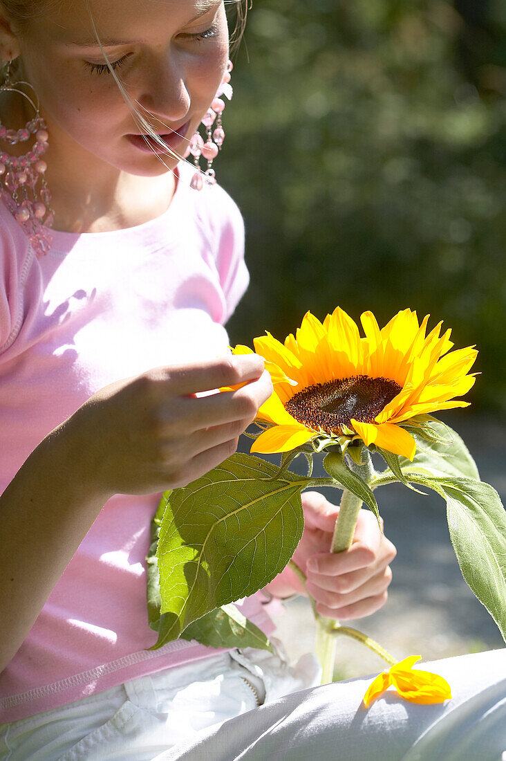 Mädchen pflückt Blütenblätter von einer Sonnenblume