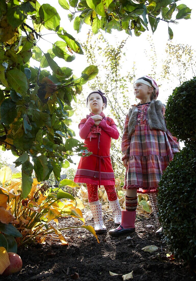 Girls looking at apple tree