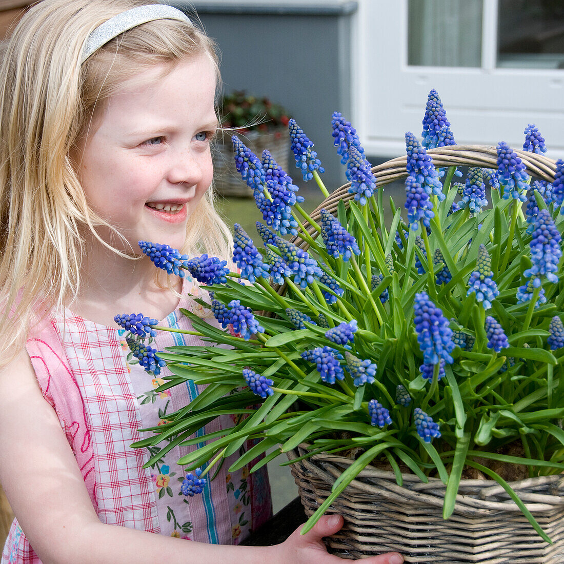 Girl holding Muscari