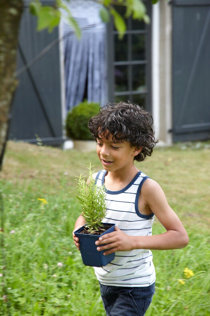 Boy with rosemary